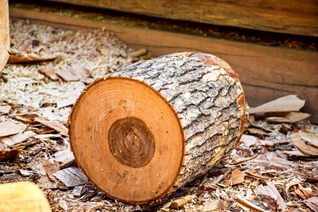 creosote-logs